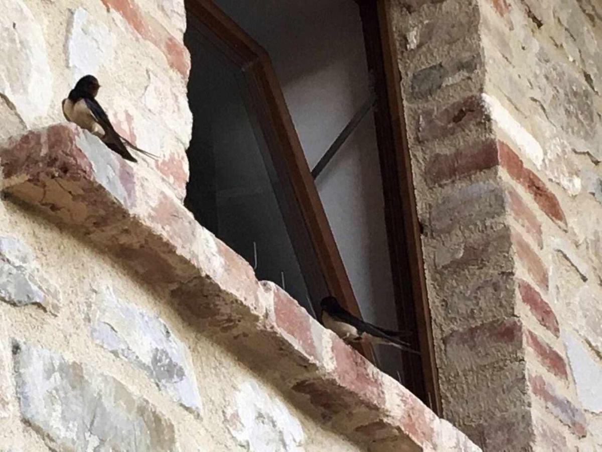 San Venanzo - Casale De Conti Villa ภายนอก รูปภาพ